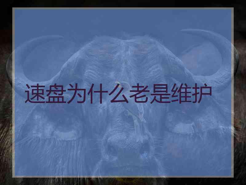 速盘为什么老是维护