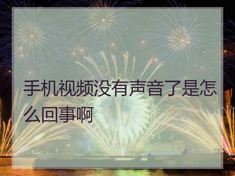 手机视频没有声音了是怎么回事啊
