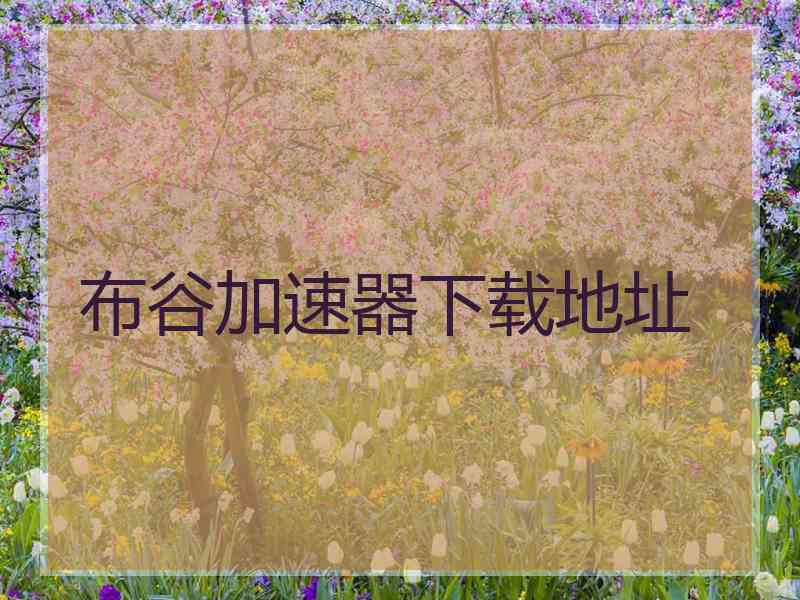 布谷加速器下载地址