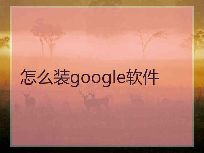 怎么装google软件