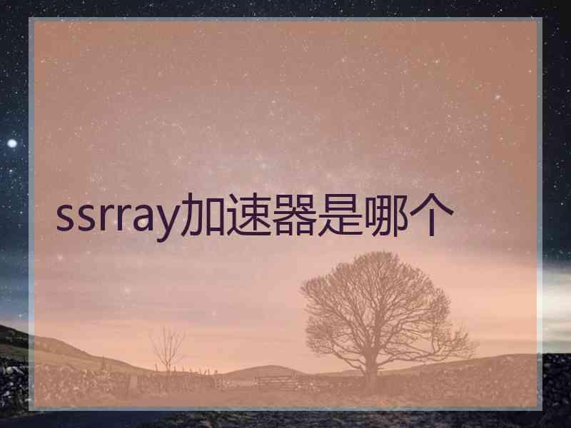 ssrray加速器是哪个