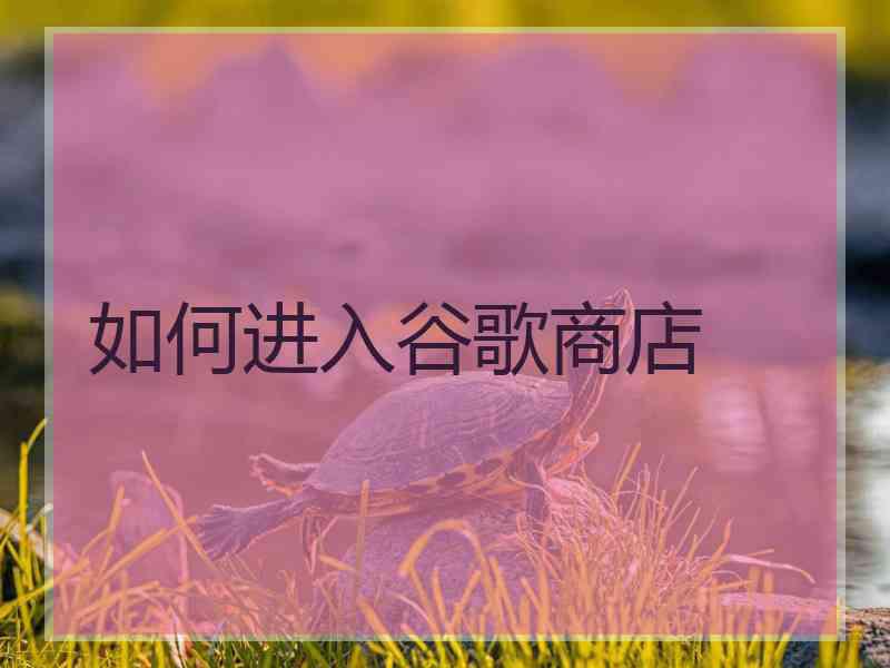 如何进入谷歌商店
