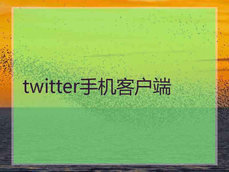 twitter手机客户端