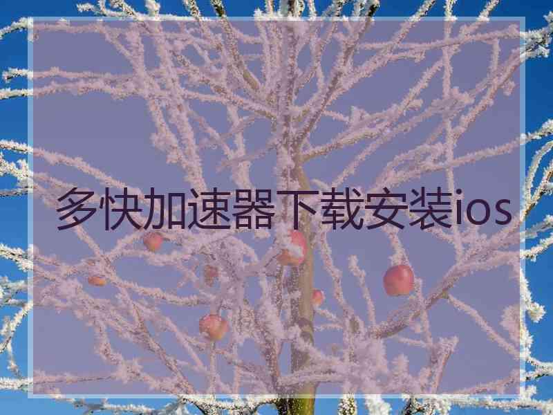 多快加速器下载安装ios
