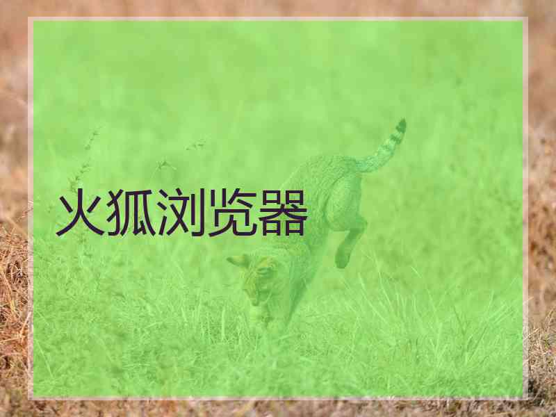 火狐浏览器