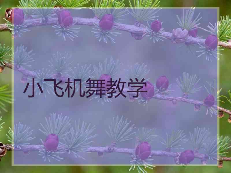 小飞机舞教学