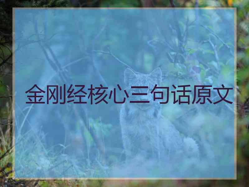 金刚经核心三句话原文