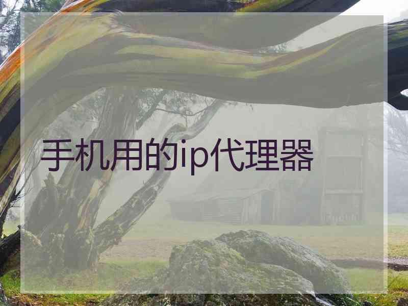 手机用的ip代理器
