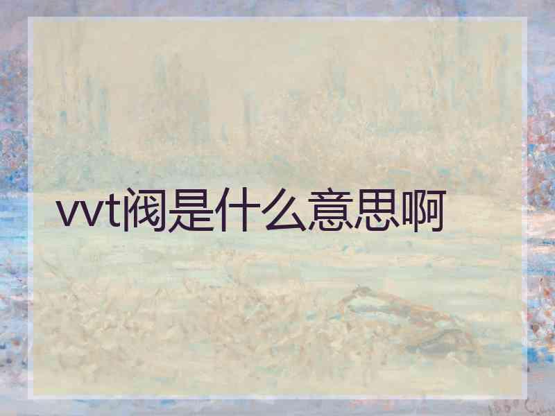 vvt阀是什么意思啊