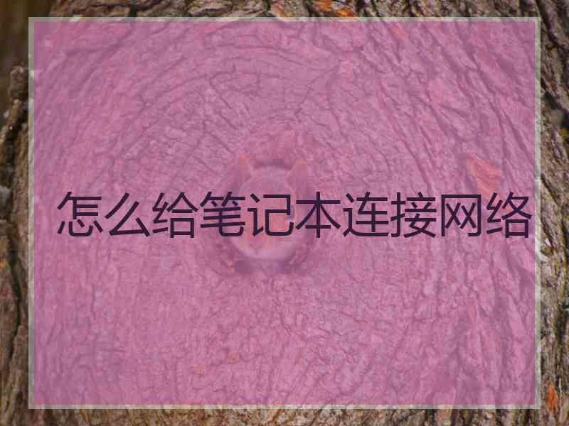 怎么给笔记本连接网络