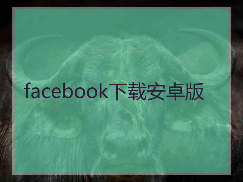 facebook下载安卓版