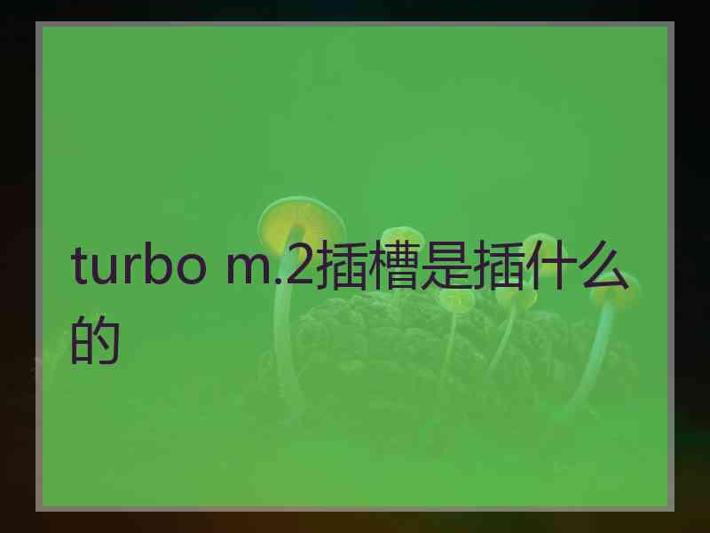 turbo m.2插槽是插什么的