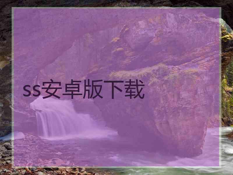 ss安卓版下载