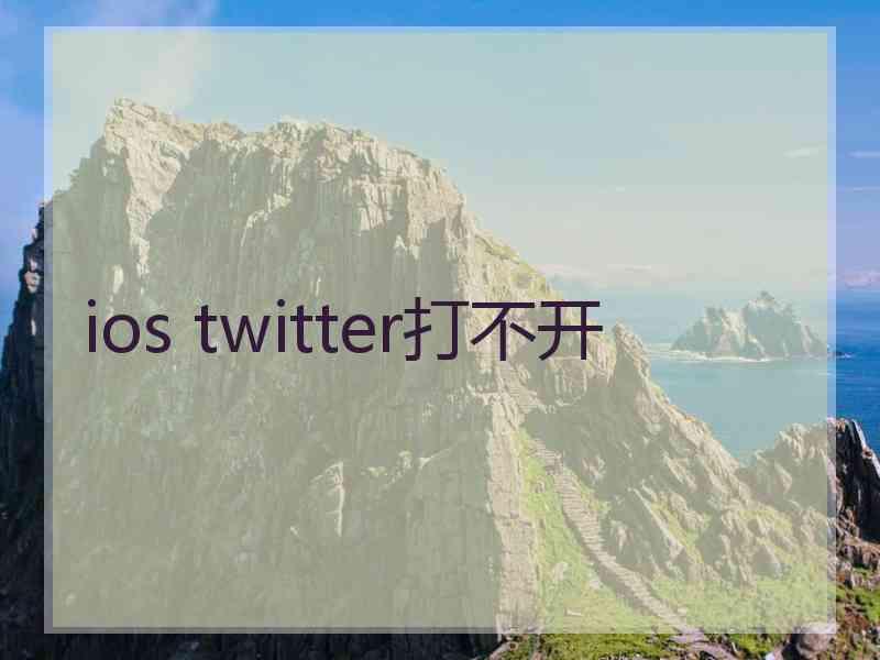 ios twitter打不开