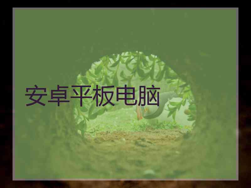安卓平板电脑
