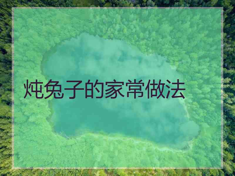 炖兔子的家常做法