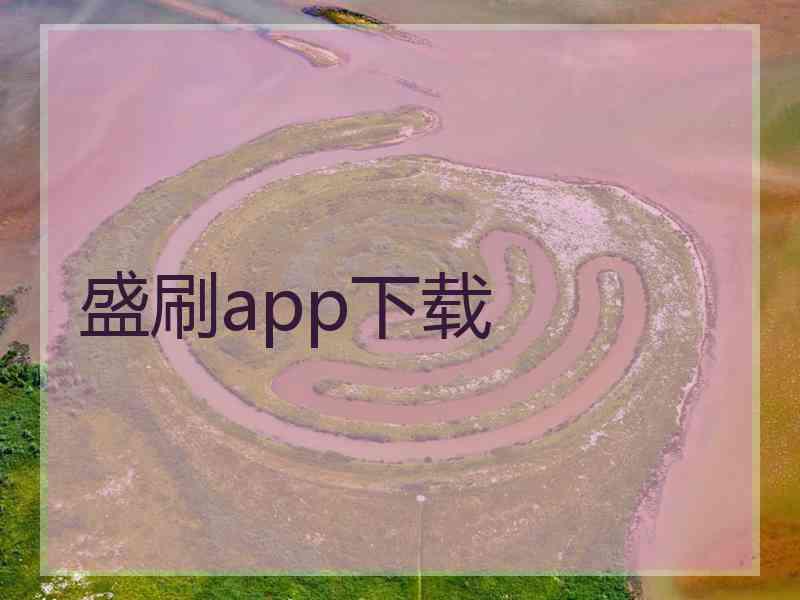 盛刷app下载