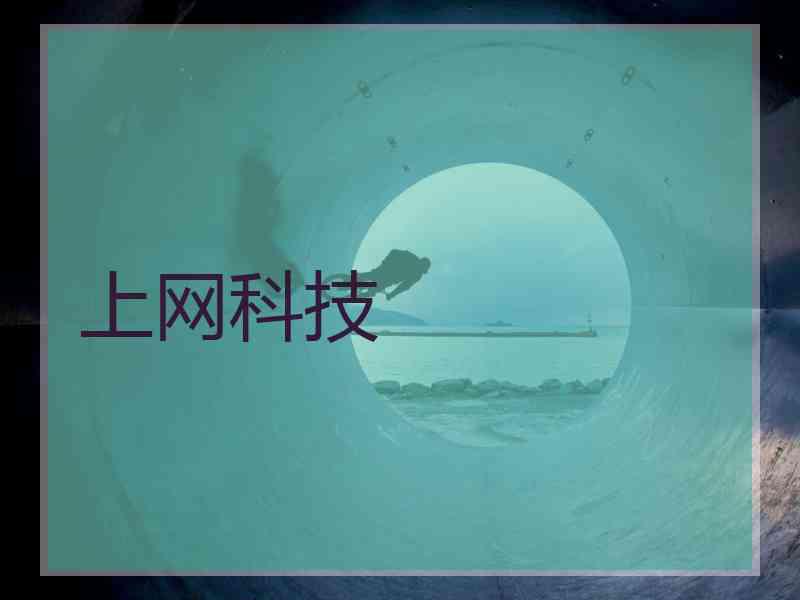 上网科技