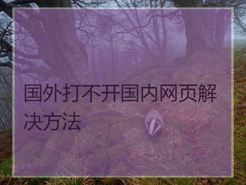 国外打不开国内网页解决方法