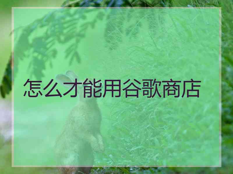 怎么才能用谷歌商店