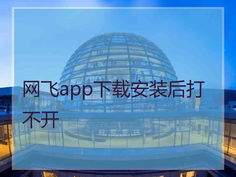 网飞app下载安装后打不开