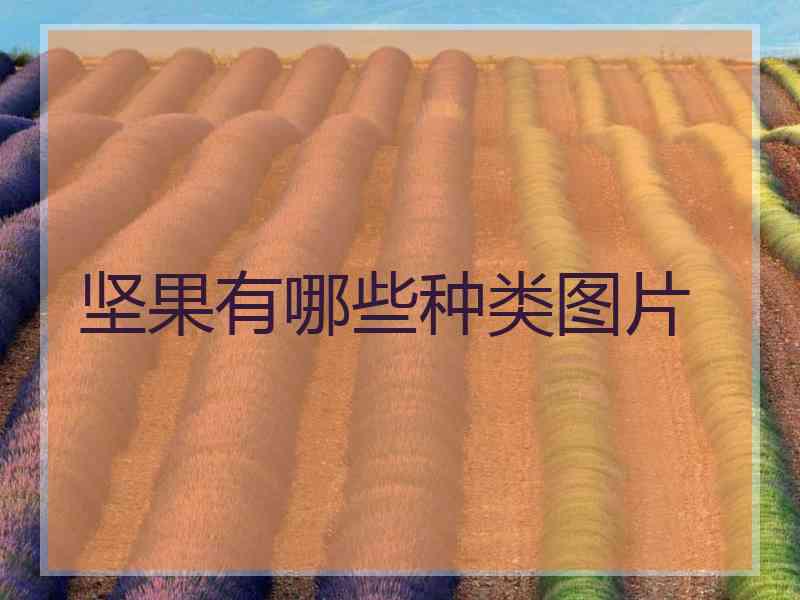 坚果有哪些种类图片