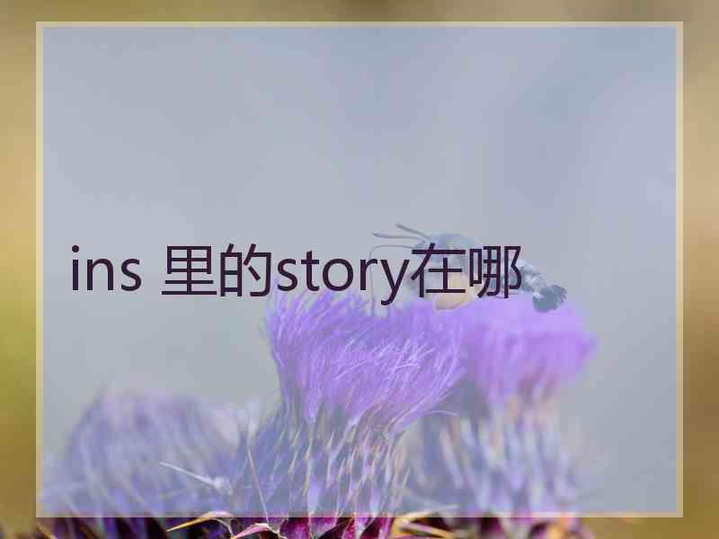 ins 里的story在哪