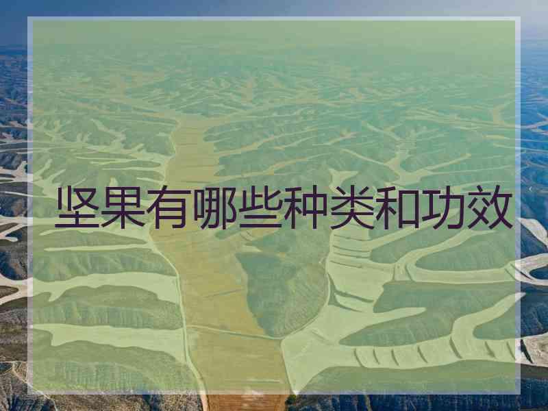 坚果有哪些种类和功效