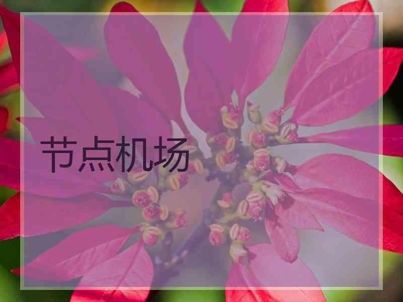 节点机场