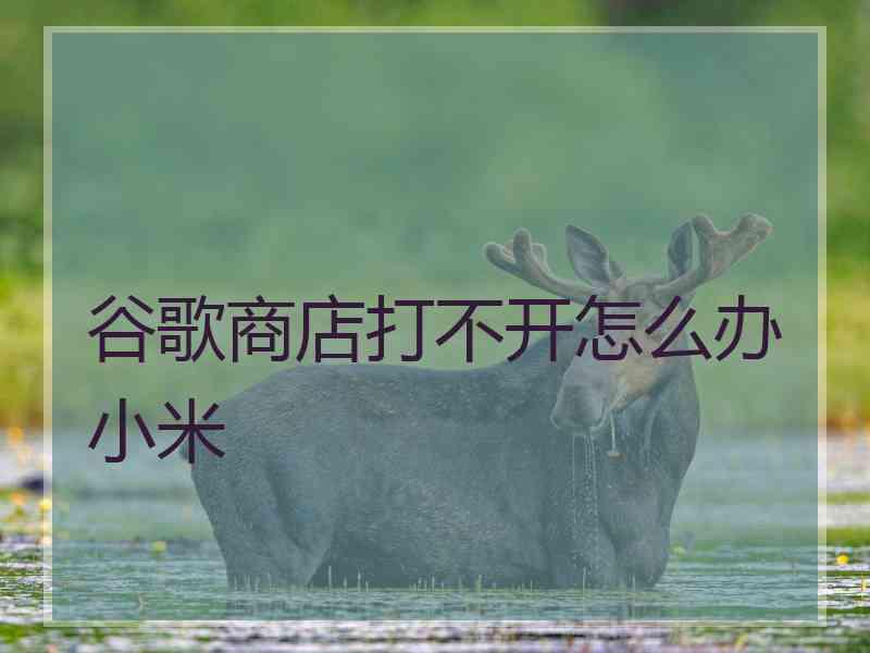 谷歌商店打不开怎么办小米