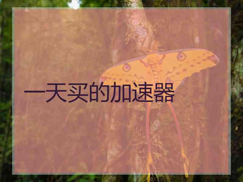 一天买的加速器