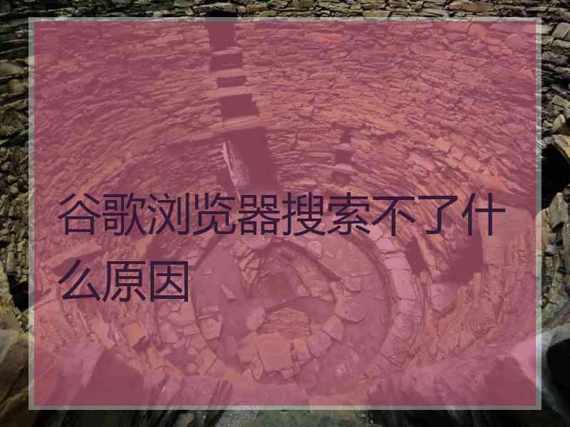 谷歌浏览器搜索不了什么原因