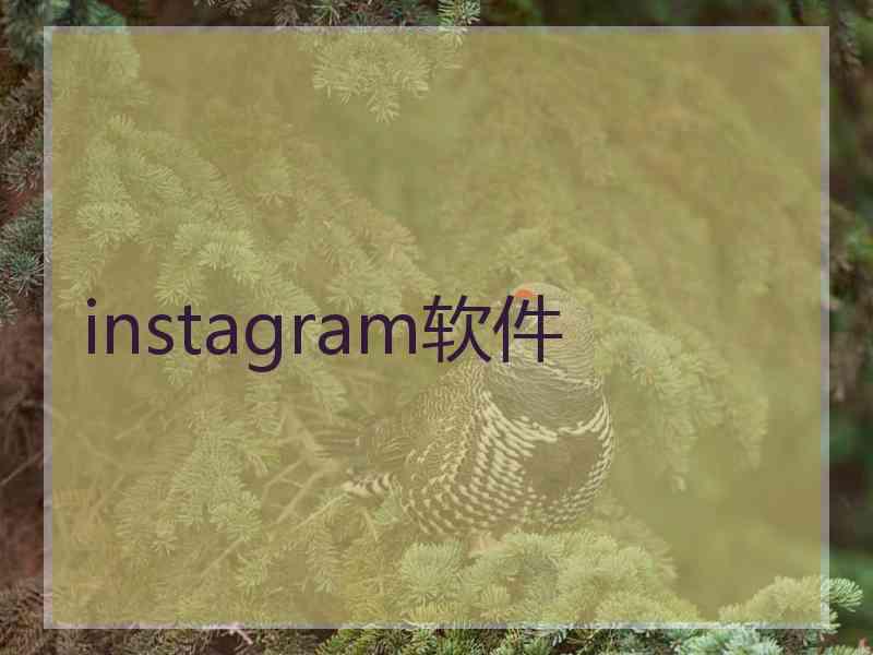 instagram软件