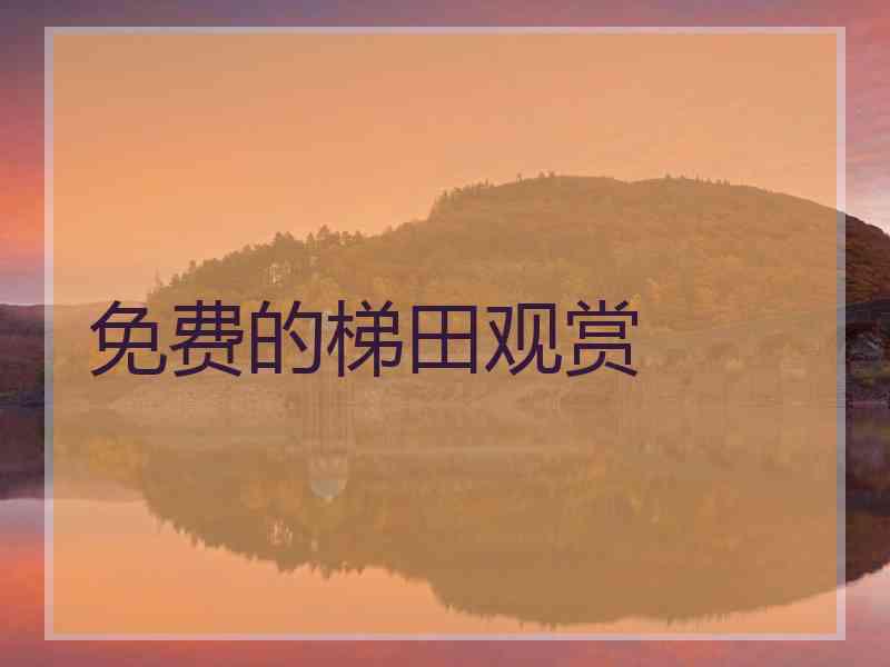 免费的梯田观赏