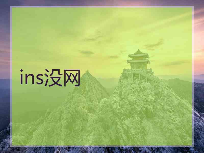 ins没网