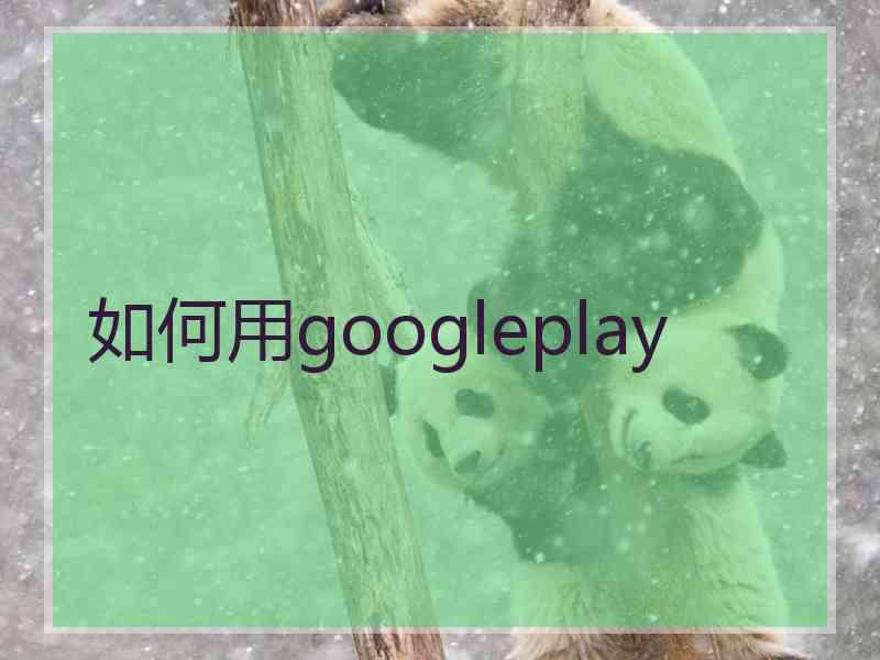 如何用googleplay