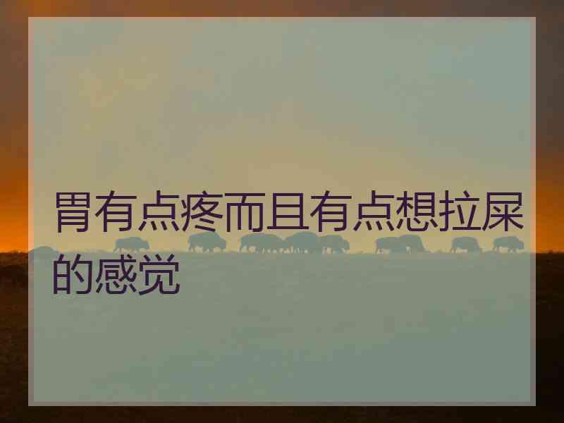 胃有点疼而且有点想拉屎的感觉