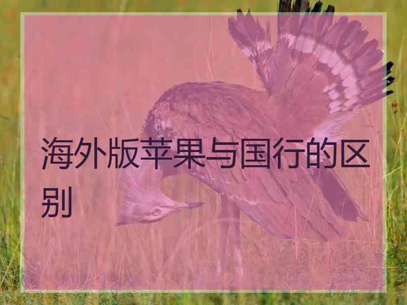 海外版苹果与国行的区别