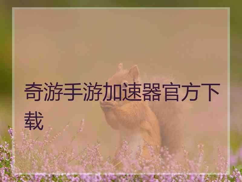 奇游手游加速器官方下载