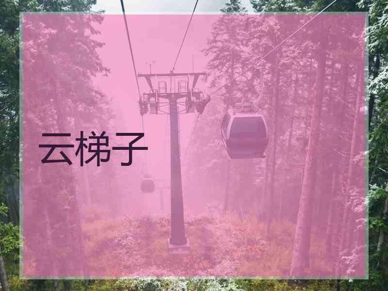 云梯子