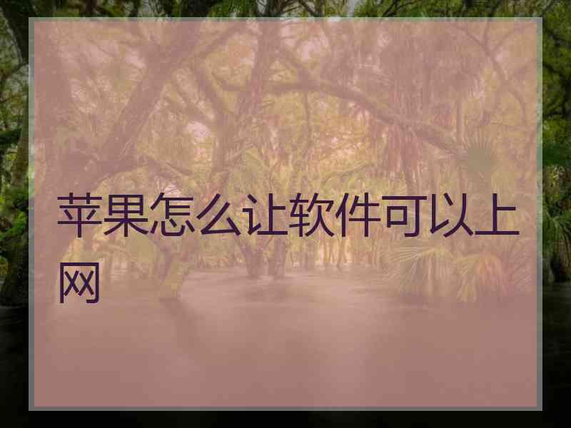 苹果怎么让软件可以上网