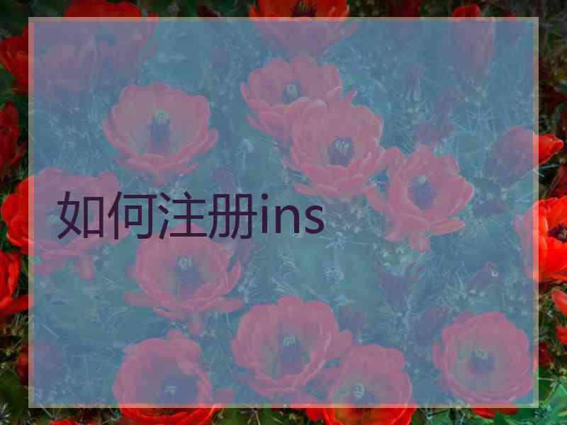 如何注册ins