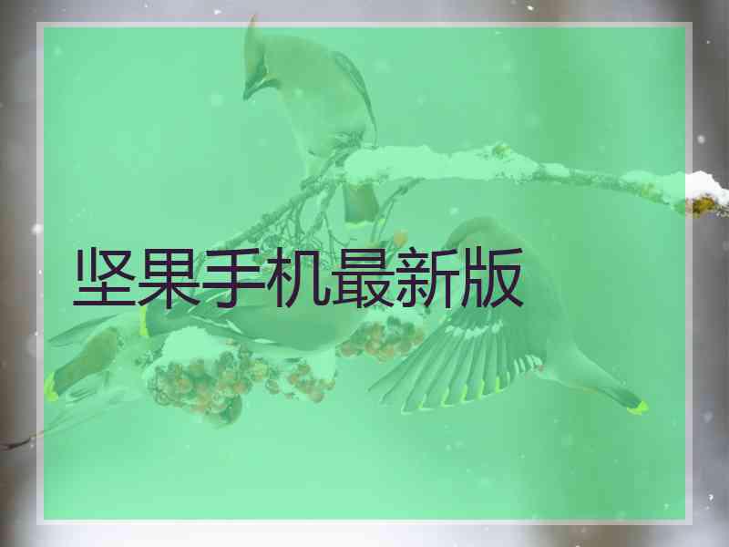 坚果手机最新版