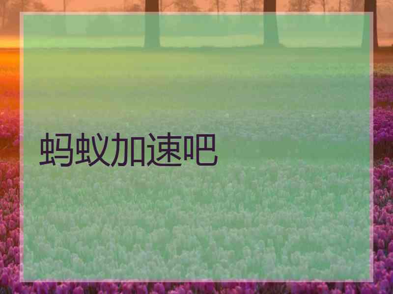 蚂蚁加速吧