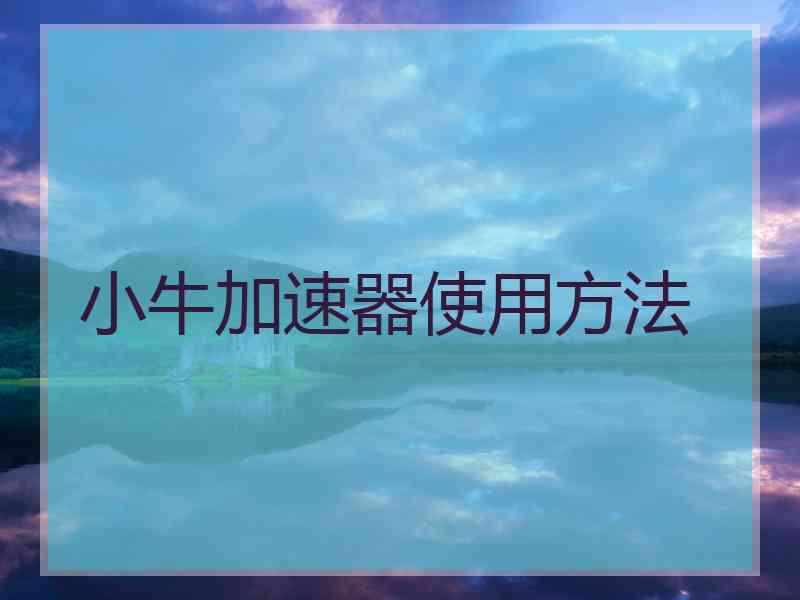 小牛加速器使用方法