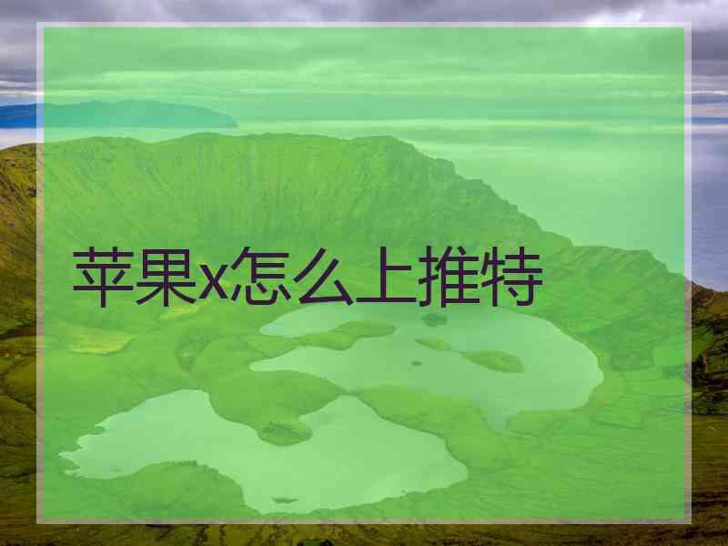 苹果x怎么上推特