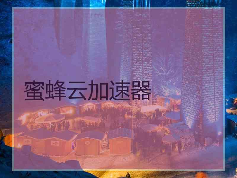 蜜蜂云加速器
