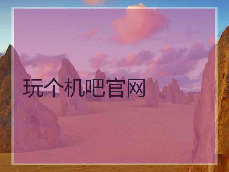 玩个机吧官网