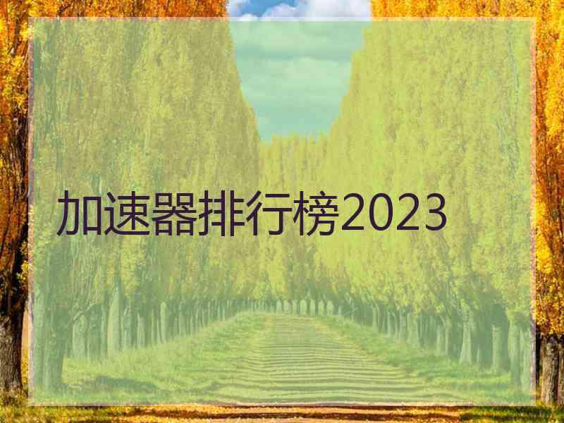 加速器排行榜2023