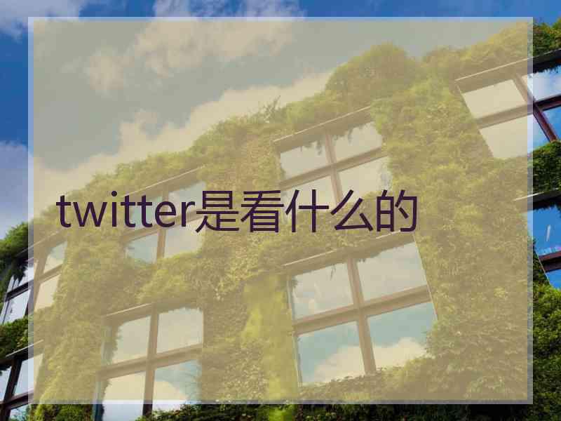 twitter是看什么的